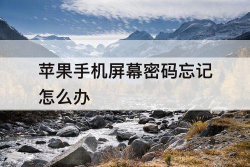 苹果手机屏幕密码忘记怎么办