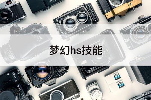 梦幻hs技能