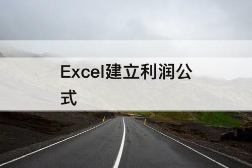 Excel建立利润公式