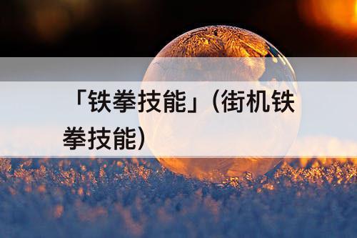 「铁拳技能」(街机铁拳技能)