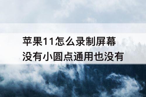 苹果11怎么录制屏幕没有小圆点通用也没有