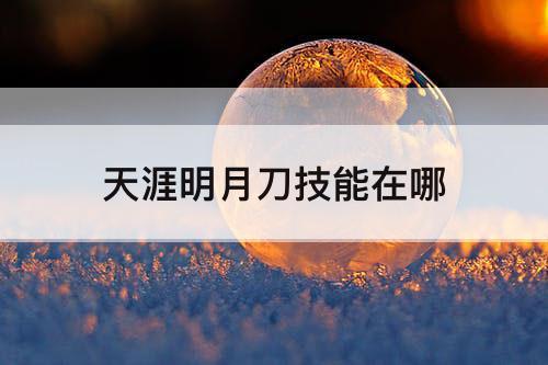 天涯明月刀技能在哪