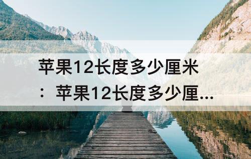 苹果12长度多少厘米：苹果12长度多少厘米宽