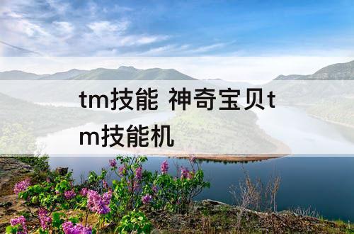tm技能 神奇宝贝tm技能机