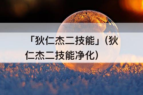 「狄仁杰二技能」(狄仁杰二技能净化)