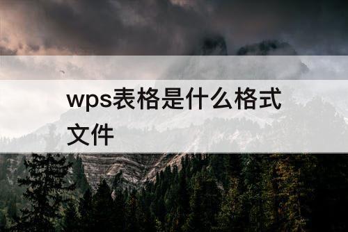 wps表格是什么格式文件