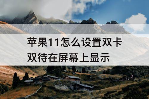 苹果11怎么设置双卡双待在屏幕上显示