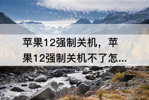 苹果12强制关机，苹果12强制关机不了怎么办