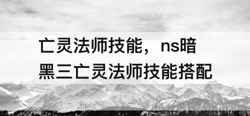 亡灵法师技能，ns暗黑三亡灵法师技能搭配