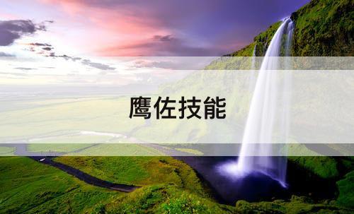 鹰佐技能