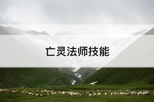 亡灵法师技能