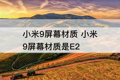 小米9屏幕材质 小米9屏幕材质是E2