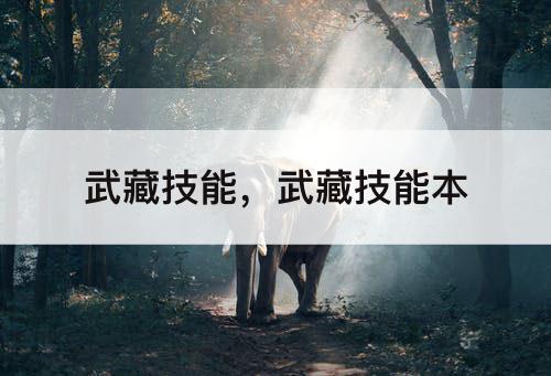 武藏技能，武藏技能本