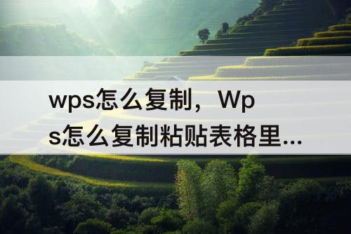 wps怎么复制，Wps怎么复制粘贴表格里内容