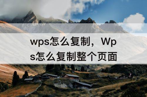 wps怎么复制，Wps怎么复制整个页面