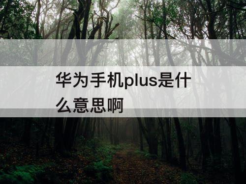 华为手机plus是什么意思啊