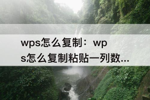 wps怎么复制：wps怎么复制粘贴一列数字