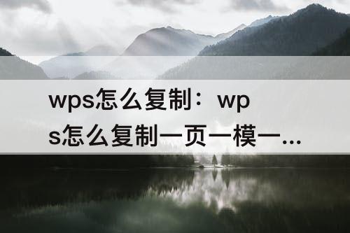 wps怎么复制：wps怎么复制一页一模一样的?包括定理函数