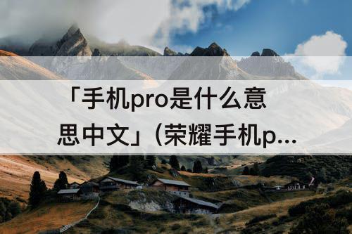 「手机pro是什么意思中文」(荣耀手机pro是什么意思中文)