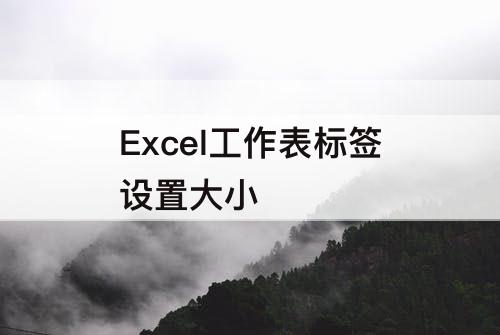 Excel工作表标签设置大小