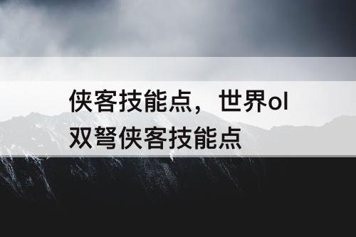 侠客技能点，世界ol双弩侠客技能点