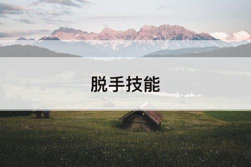 脱手技能