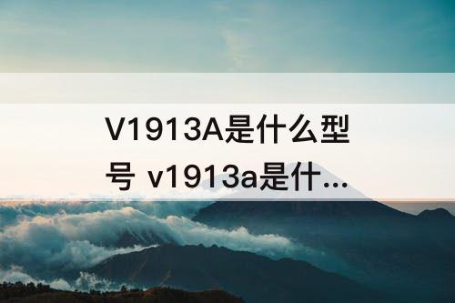 V1913A是什么型号 v1913a是什么型号的vivo手机壳