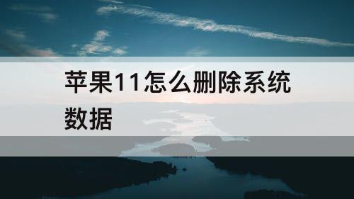 苹果11怎么删除系统数据