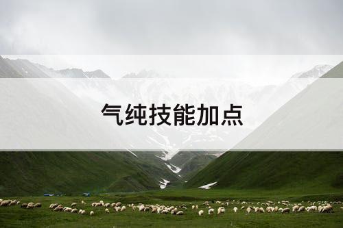 气纯技能加点
