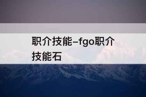 职介技能-fgo职介技能石