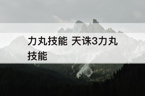 力丸技能 天诛3力丸技能