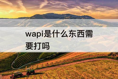wapi是什么东西需要打吗