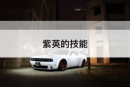 紫英的技能