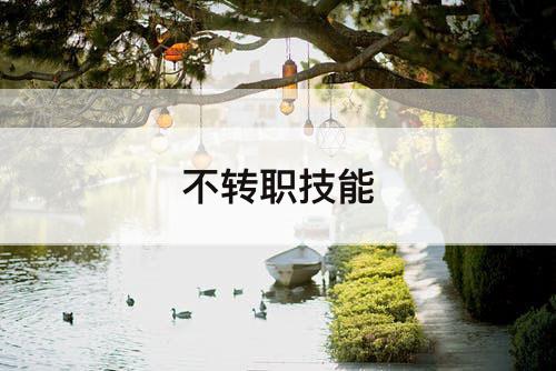 不转职技能