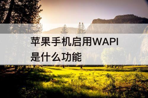 苹果手机启用WAPI是什么功能