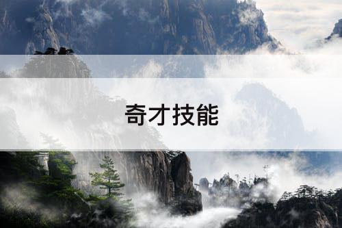 奇才技能