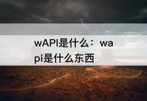 wAPI是什么：wapi是什么东西