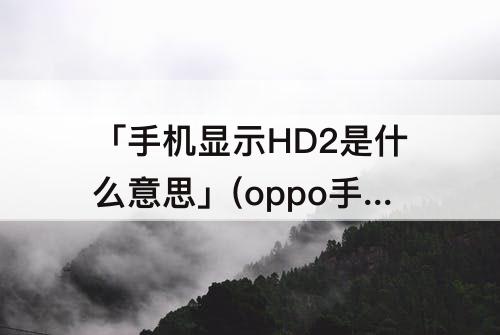 「手机显示HD2是什么意思」(oppo手机显示HD2是什么意思)
