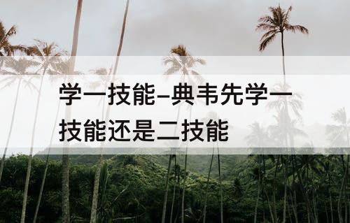 学一技能-典韦先学一技能还是二技能