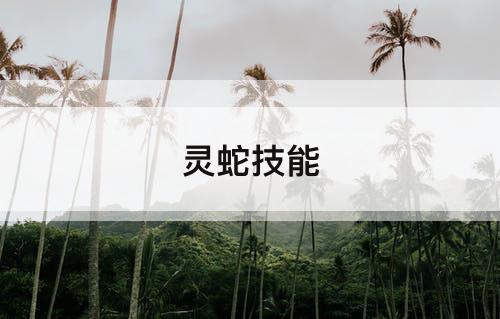 灵蛇技能