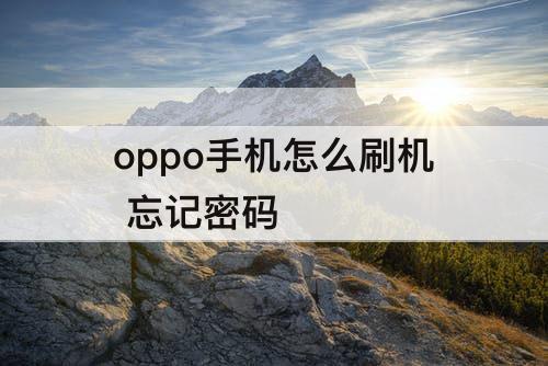 oppo手机怎么刷机 忘记密码