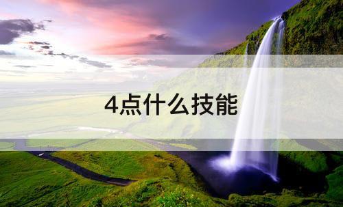 4点什么技能
