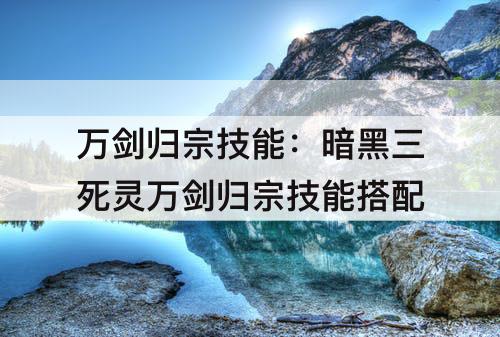 万剑归宗技能：暗黑三死灵万剑归宗技能搭配