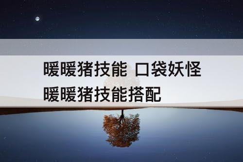 暖暖猪技能 口袋妖怪暖暖猪技能搭配