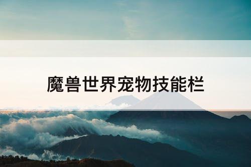 魔兽世界宠物技能栏