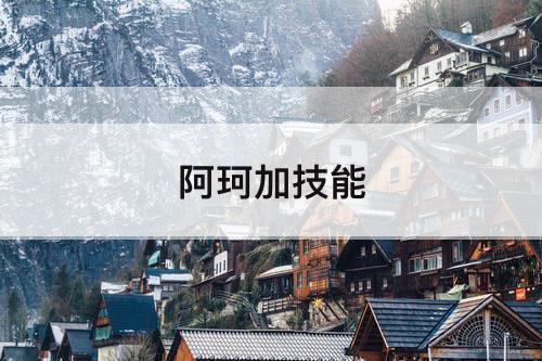 阿珂加技能