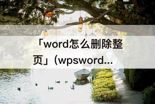 「word怎么删除整页」(wpsword怎么删除整页表格)