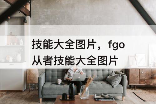 技能大全图片，fgo从者技能大全图片