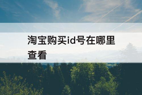 淘宝购买id号在哪里查看