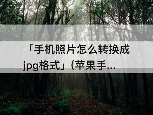 「手机照片怎么转换成jpg格式」(苹果手机照片怎么转换成jpg格式的)